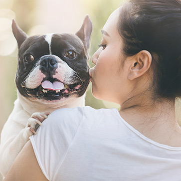 Pet Pharmacy